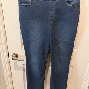 Gloria Vanderbilt Women's Blue Jeggings